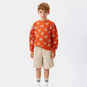 Sudadera unisex estampado de tortugas
