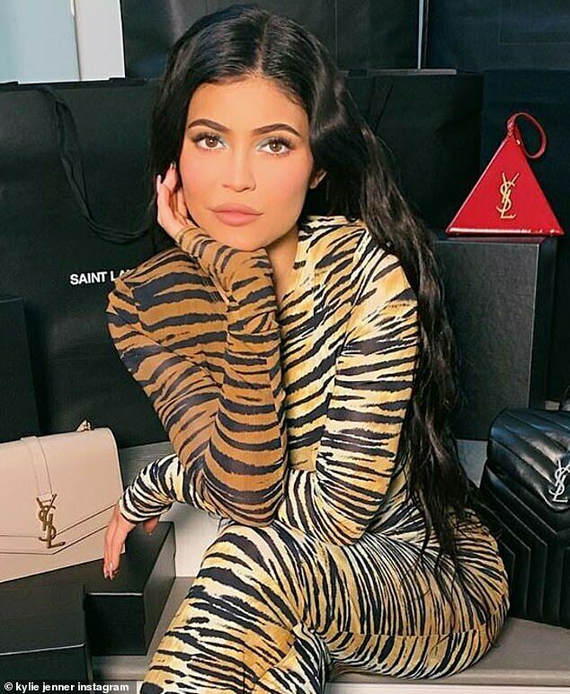 Alexandre Vauthier Long Sleeved Tiger Print Dress - Imagen 7