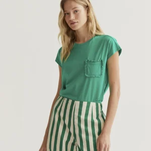 Camiseta  básica 100% algodón verde