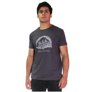 Polera Pali Aike Hombre – Gris