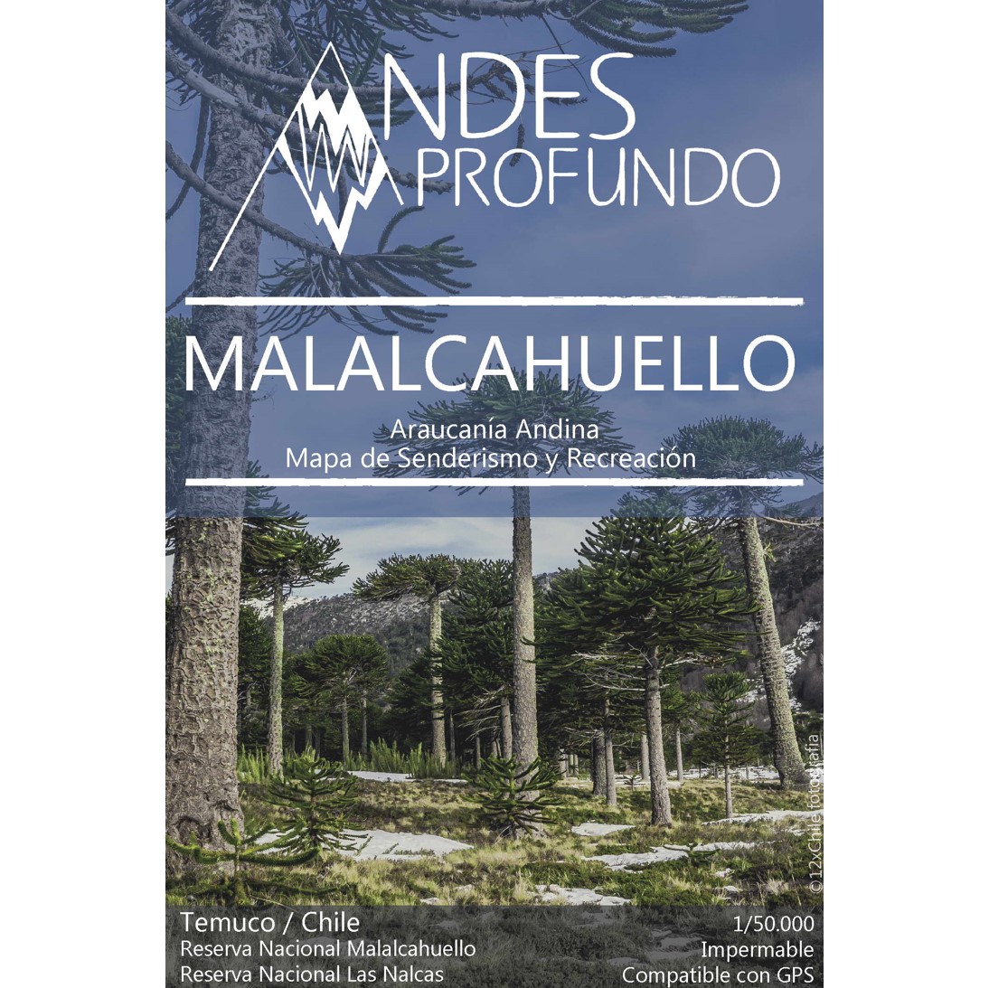 Mapa Malalcahuello