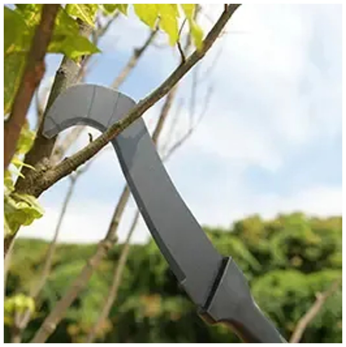Machete 20,5″ - Imagen 5