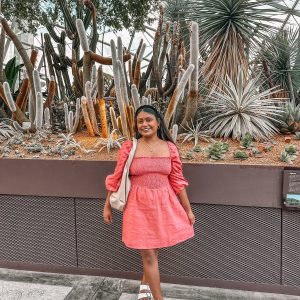 Reformation Pink Greyson Smocked Linen Mini Dress