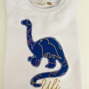 Sudadera dinos