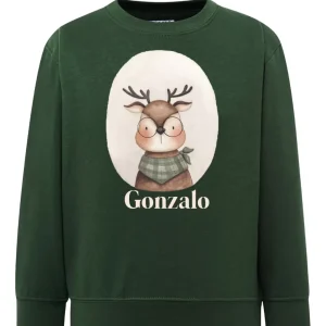 Sudadera Aminales oliva