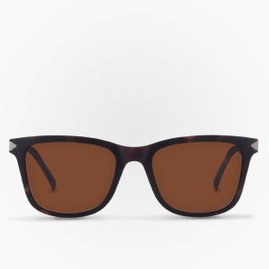 Lentes de Sol Zorro Havana
