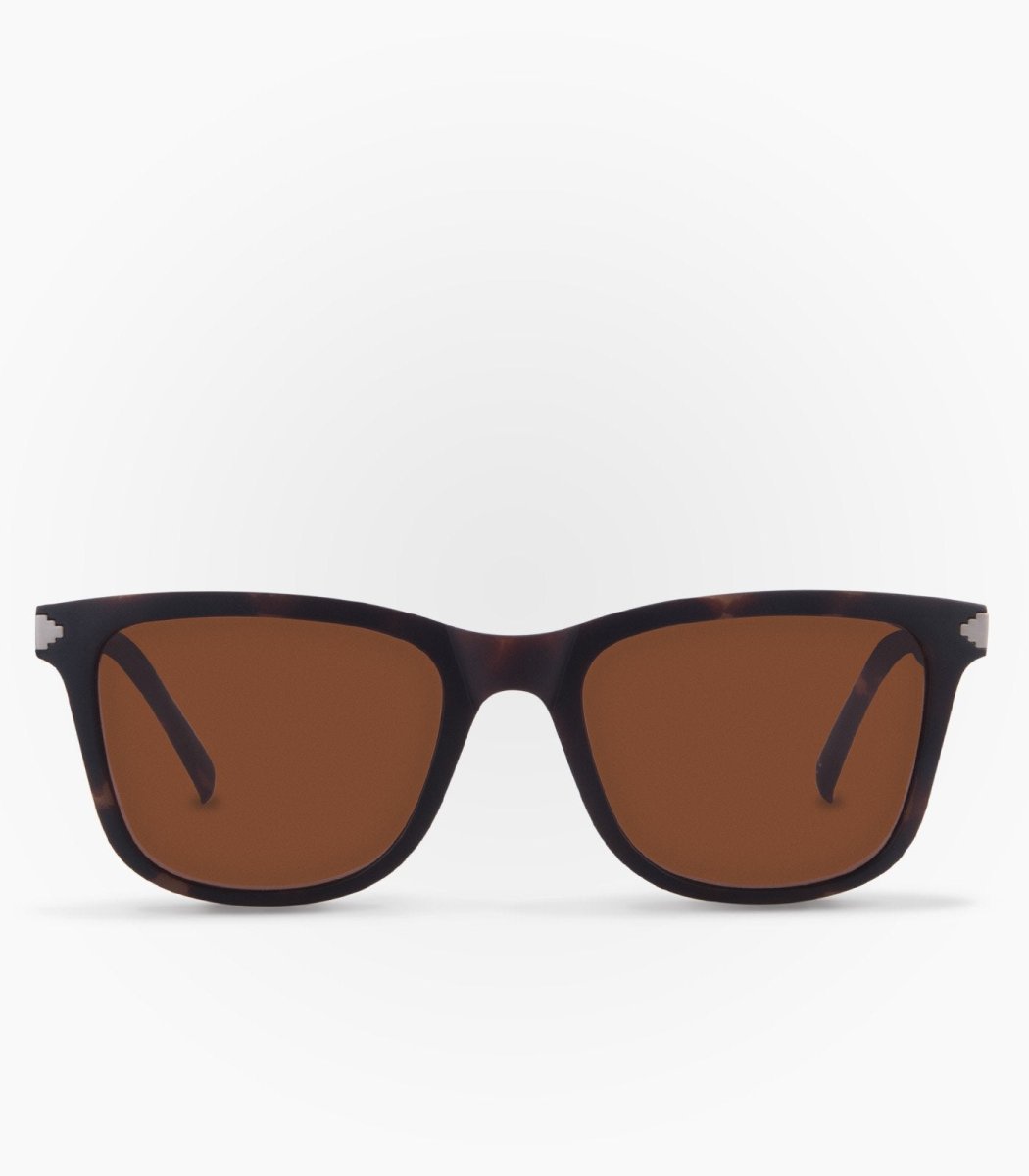 Lentes de Sol Zorro Havana - Imagen 2