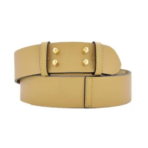Burberry The Medium Belt Bag Grainy Leather Belt Yellow